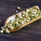 <b> 小孩能喝茉莉花茶吗 茉莉花茶小孩子能够多喝不</b>