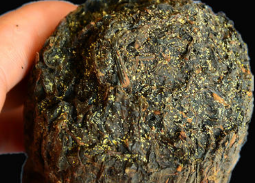  适合饮用安化黑茶的人群 黑茶有强身健体和抗癌的作用