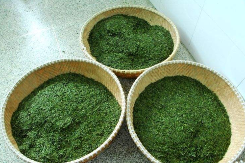  龙井茶价格表 2020龙井价格200-10000元 为何差距如此大