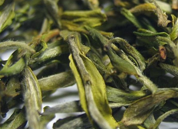  开山白毛茶是白茶还是绿茶 开山白毛茶冲泡方法与保存方法