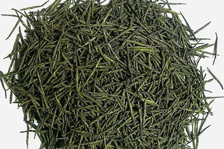  小叶苦丁茶与大叶苦丁茶的功效有哪些