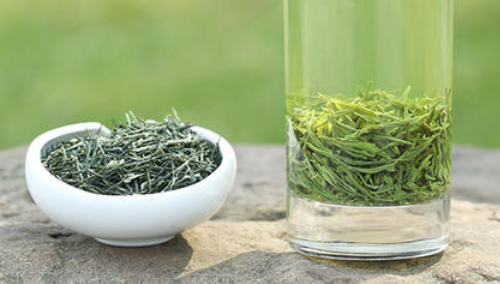  什么人不能喝绿茶 尿路结石和营养不良的人能和绿茶吗