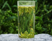  什么人适合喝绿茶 经常吸烟和湿气重的人喝绿茶有什么作用