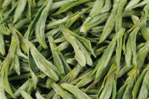  什么人适合喝绿茶 经常吸烟和湿气重的人喝绿茶有什么作用