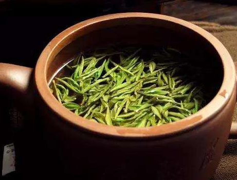  经常饮用永川秀芽的注意事项 喝完酒后可以喝永川秀芽茶吗