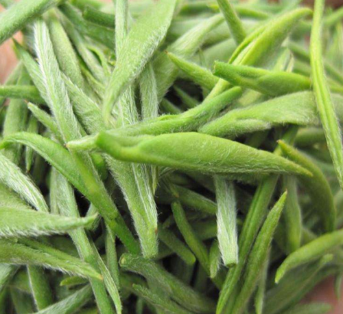 年轻人应该喝什么茶好 几种适合青年人喝的茶叶