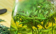  喝绿茶有什么好处 绿茶可以减肥瘦身吗 绿茶防辐射吗