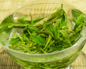  陈年绿茶的功效与好处 绿茶可以防止牙龈肿痛吗