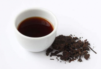  普洱茶与六堡茶的区别 两者加工与功效有什么不同 六堡茶是黑茶吗