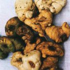 黄精当归的外观差异 黄精当归的营养价值差异