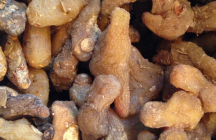 红豆黄精乌鸡汤有补血养颜强身的功效