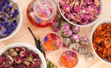 孕妇可以喝玫瑰茶吗 孕妇饮用玫瑰茶的利弊