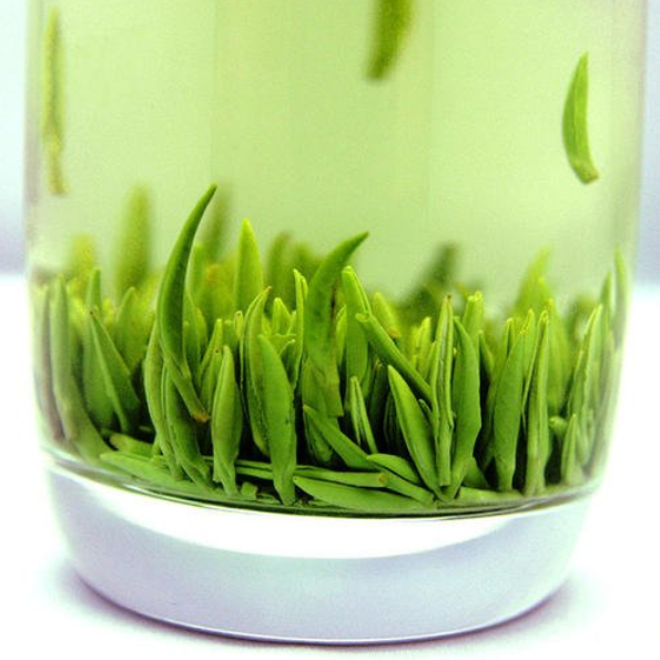  一斤雀舌茶价格 雀舌茶叶的价钱多少钱一斤