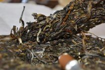  什么是乔木普洱茶普洱茶主要由乔木的大叶子制成