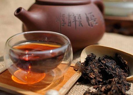  普洱茶的十大名茶品牌都与这十个茶区密切相关