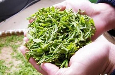  云雾茶多少钱一斤 有什么功效 2020云雾茶最新价格报价
