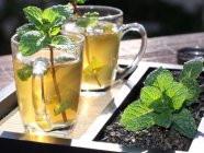 薄荷茶的功效 禁忌及饮用 薄荷茶的注意事项