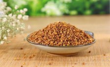 苦荞茶可以每天喝吗 荞麦茶的功效和功能