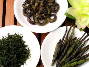  长期饮用苦丁茶对人体有什么好处 有什么害处吗