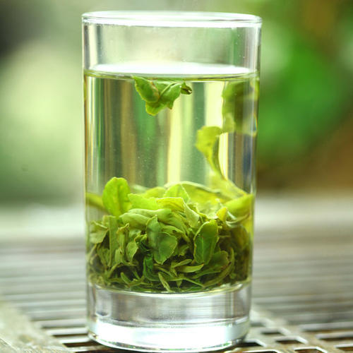  日照绿茶有什么作用 那么喝日照绿茶的不适人群是什么
