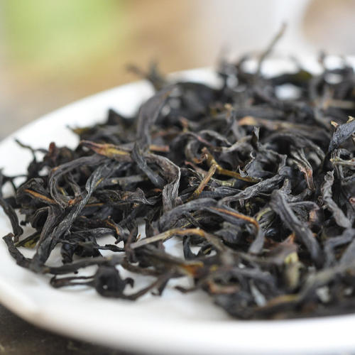  锯齿茶的外观特征 是什么原因深深吸引人们的喜爱