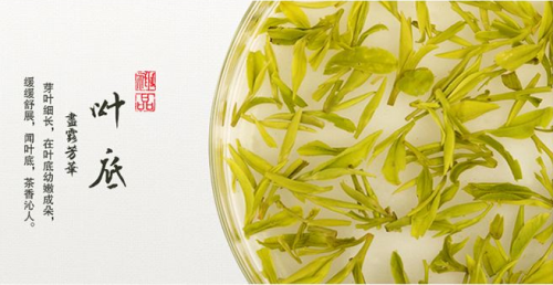 西湖龙井茶的功效