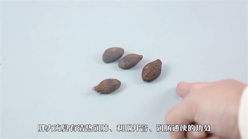 吃胖大海副作用是什么？