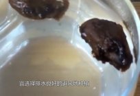  吃胖大海副作用有哪些？胖大海清润糖的副作用和功效介绍