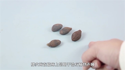 孕妇喝甘草胖大海的副作用是什么？