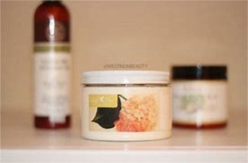 菊花茶的最新价格