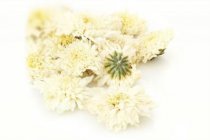 大菊花茶的价格便宜吗?菊花茶的最新报价