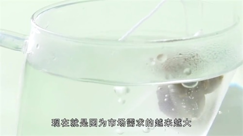 常喝胖大海茶的禁忌