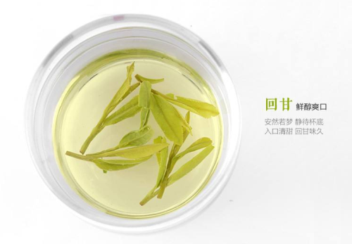 常喝西湖龙井茶的害处