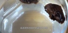  常喝胖大海茶的弊端 是什么？喝胖大海的禁忌与好处