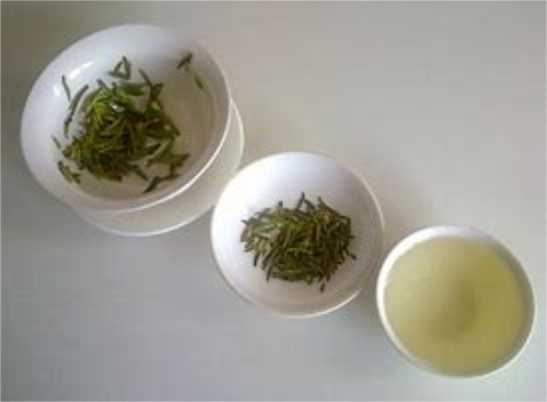 菊花茶的最新价格