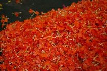  荷叶柠檬菊花茶的功效与作用及禁忌有好多种？喝菊花茶的忌讳