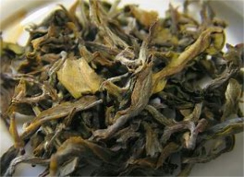  白茶散茶茶饼哪个好？口味上的区别是什么？