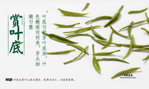 常用的信阳毛尖十道茶泡法解析